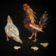 Illustration for article titled This 19th Century Art Is Made Entirely Out Of Butterfly Wings